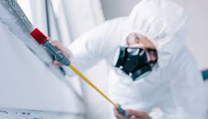 Best Pest Prevention Services  in Garden City, MI